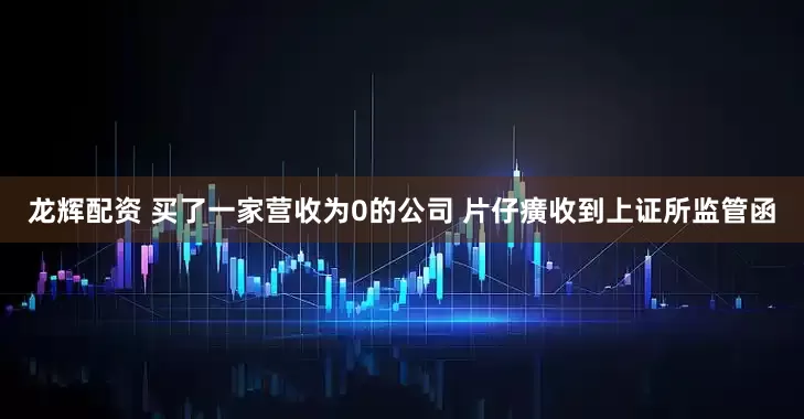 龙辉配资 买了一家营收为0的公司 片仔癀收到上证所监管函