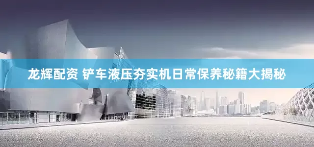 龙辉配资 铲车液压夯实机日常保养秘籍大揭秘